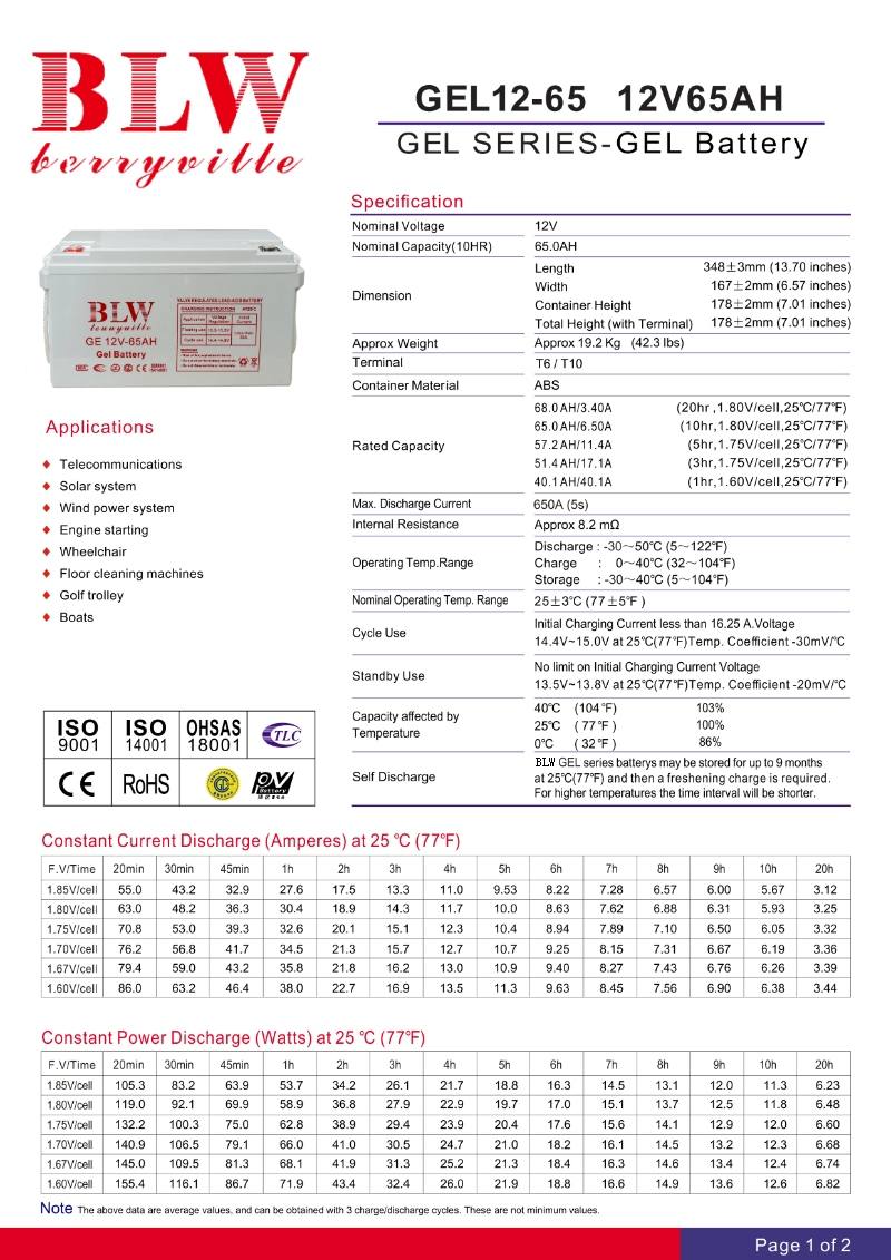 12V65AH_1